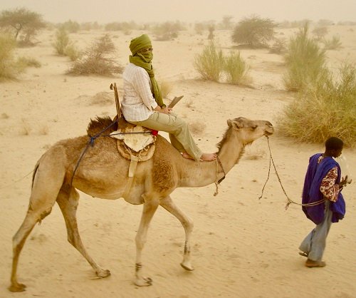 A_camel_ride_in_the_Sahara_Desert